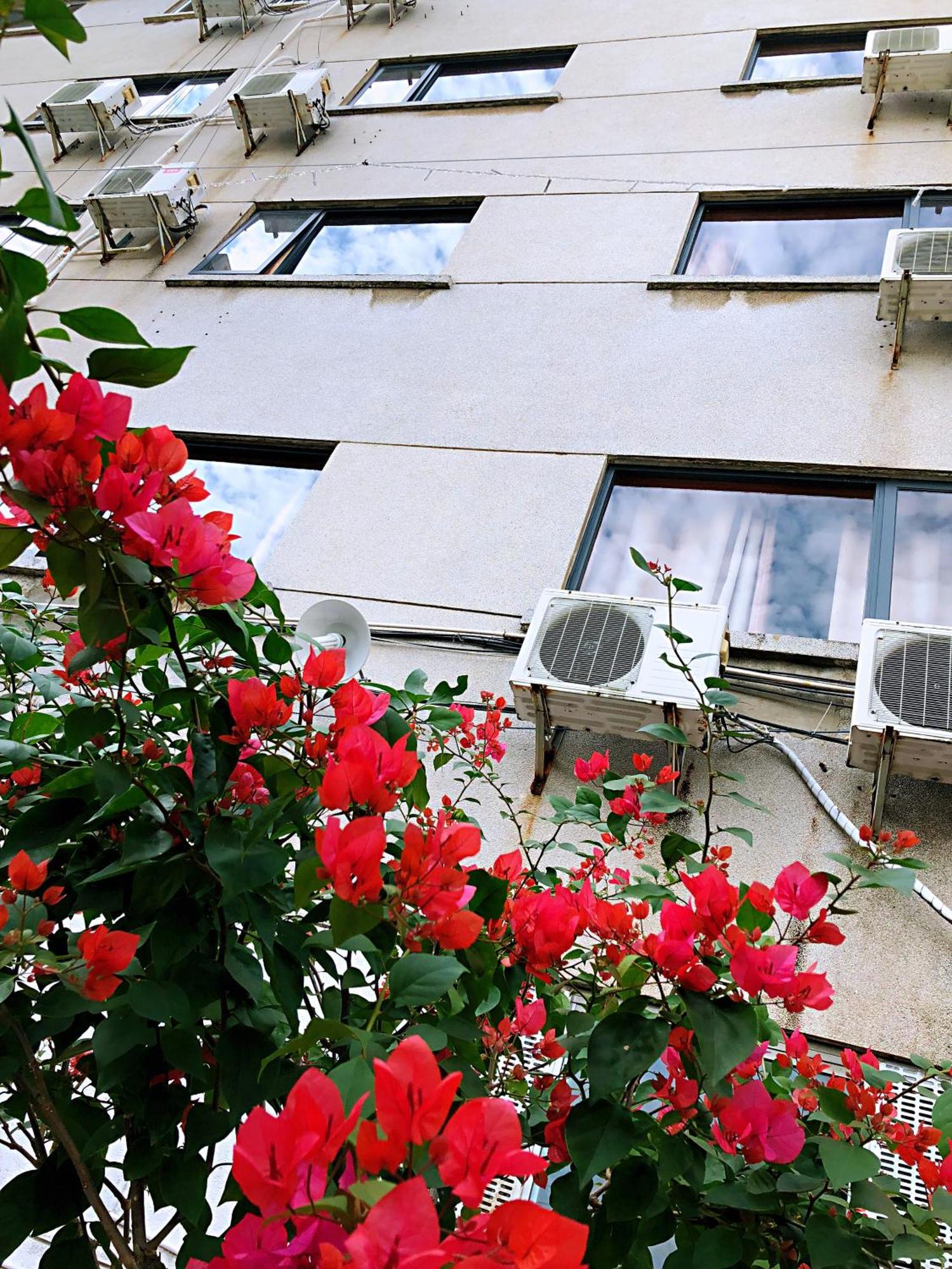 Lakeside Inn Guilin Exterior foto
